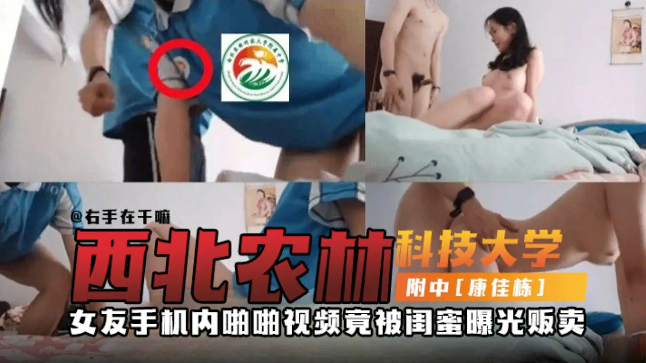 网曝西北农林科技大学附中黑料-女友手机啪啪视频被闺蜜曝光贩卖-猎奇吃瓜
